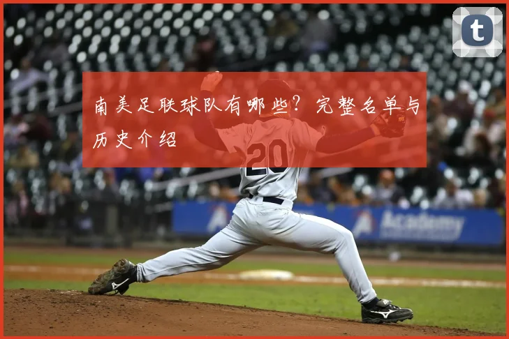 南美足联球队有哪些？完整名单与历史介绍