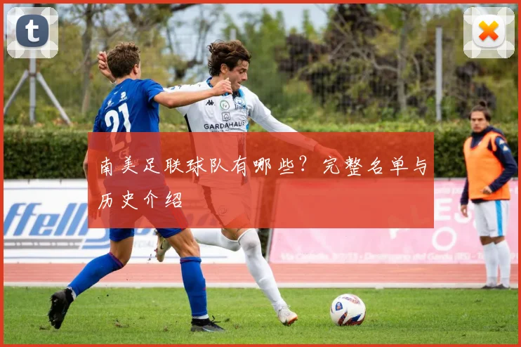 南美足联球队有哪些？完整名单与历史介绍